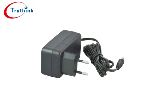 24W Wall-amount Power Adapter